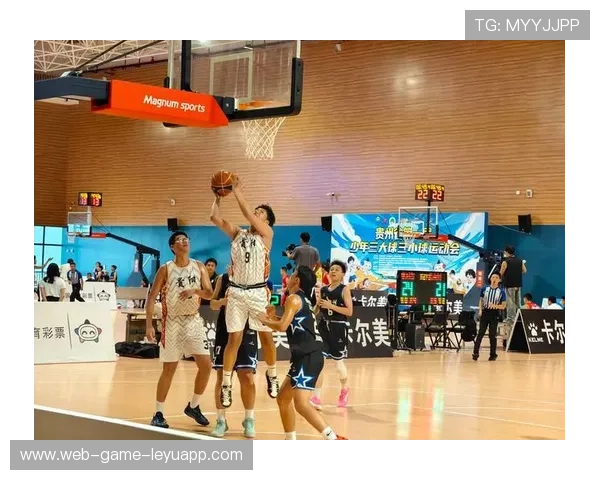 篮球在中国城市慢跑文化推广中的视觉语言表现,篮球在中国的发展趋势 篮球在中国城市慢跑文化推广中的视觉语言表现,篮球在中国的发展趋势