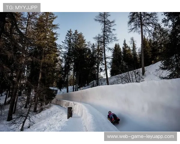 雪橇锦标：俄罗斯队稳坐金牌宝座，冲击纪录！，雪橇锦标赛