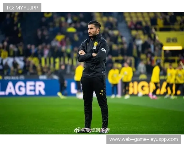 泰尔齐奇回归执教，球队展望充满期待，泰尔琦卫浴是不是名牌